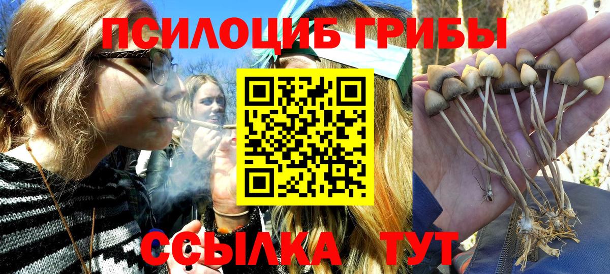 Нурлат  Галлюциногенные грибы Cubensis  Вход с VPN 